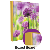 Colorboard_Boxed A picture of purple flowers in the grass.